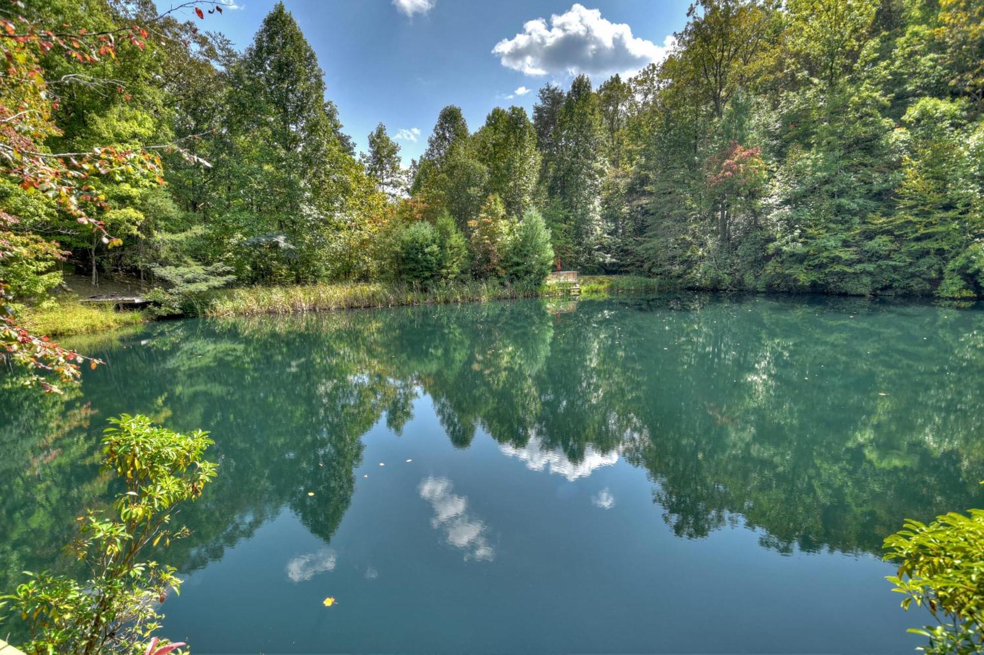 Waywish Waterfront Cabin In Blue Ridge Mountains מראה חיצוני תמונה