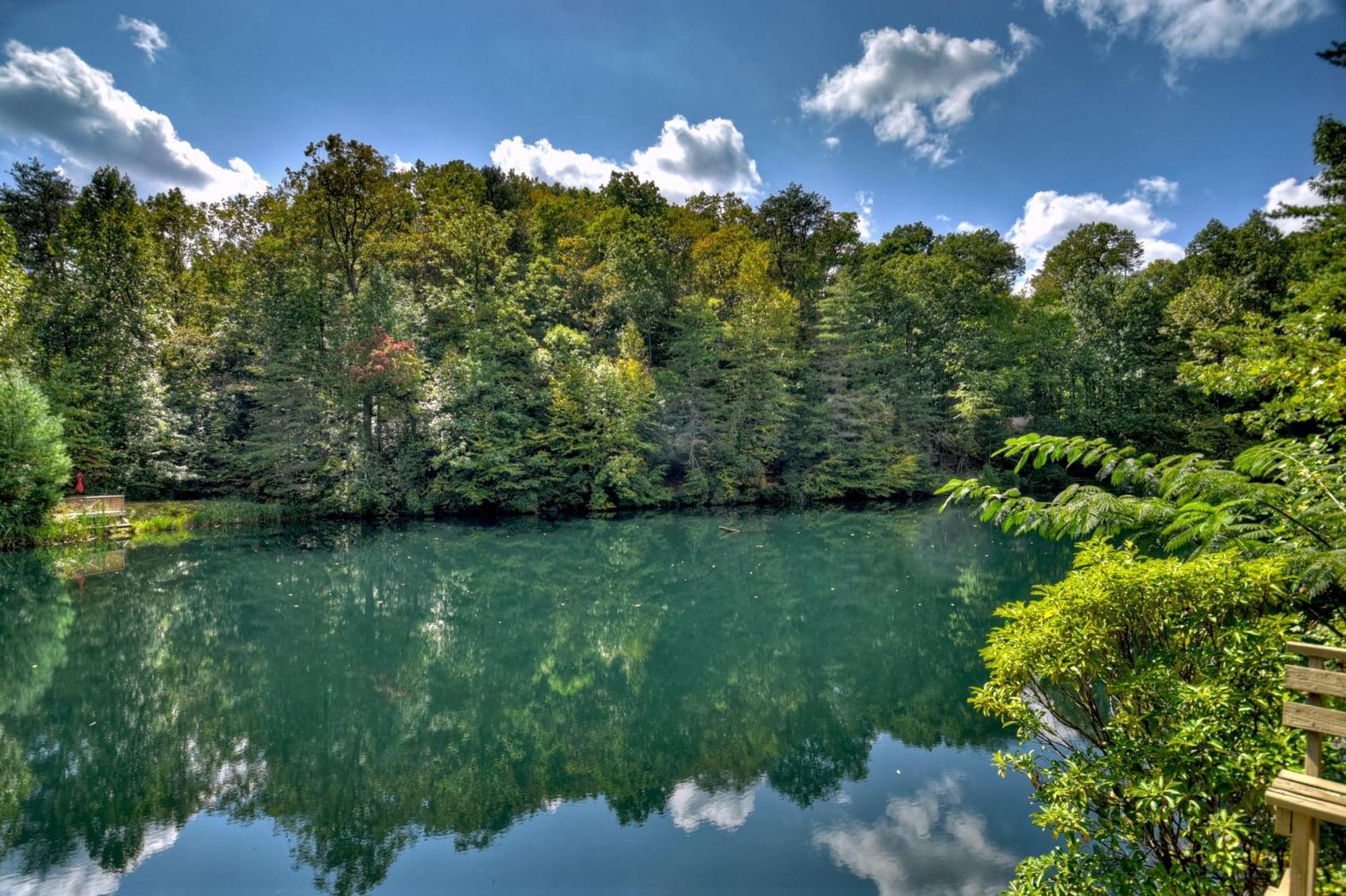 Waywish Waterfront Cabin In Blue Ridge Mountains מראה חיצוני תמונה