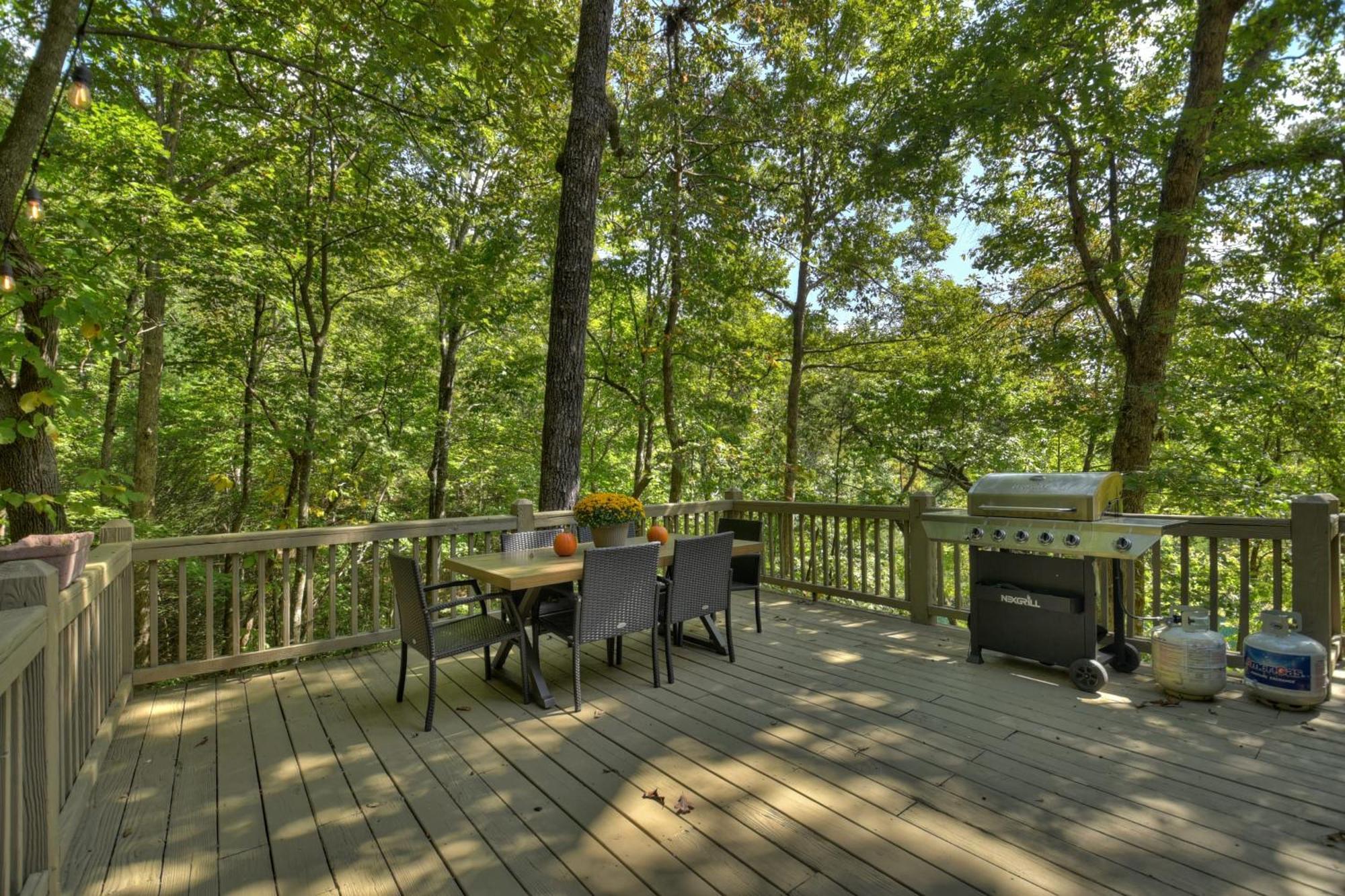 Waywish Waterfront Cabin In Blue Ridge Mountains מראה חיצוני תמונה